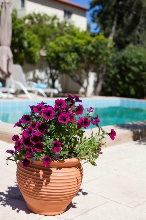 Sunny Rhodes Villa Koskinou  Exterior photo